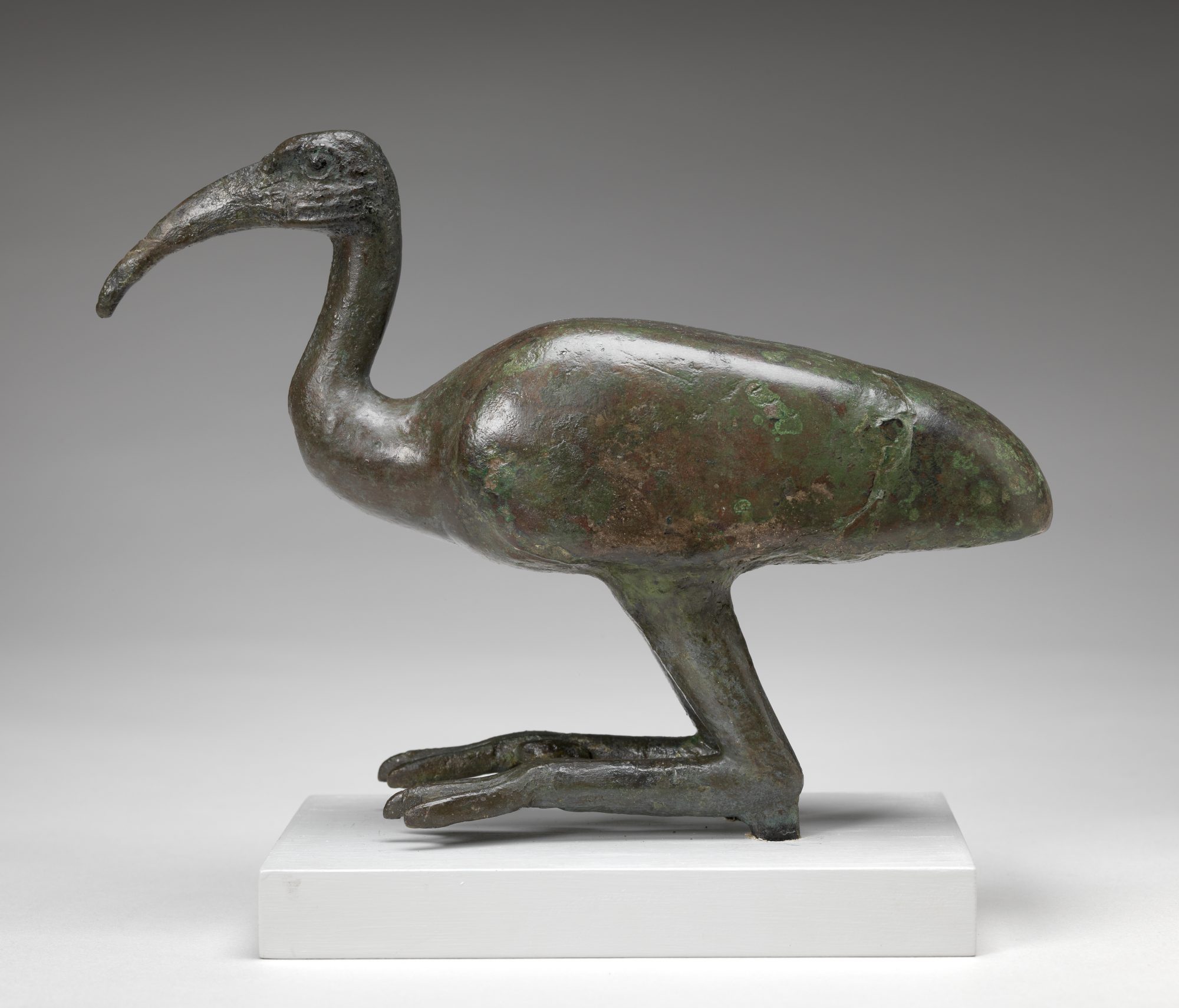 Egyptian, 26th Dynasty. Ibis, 662–525 BC