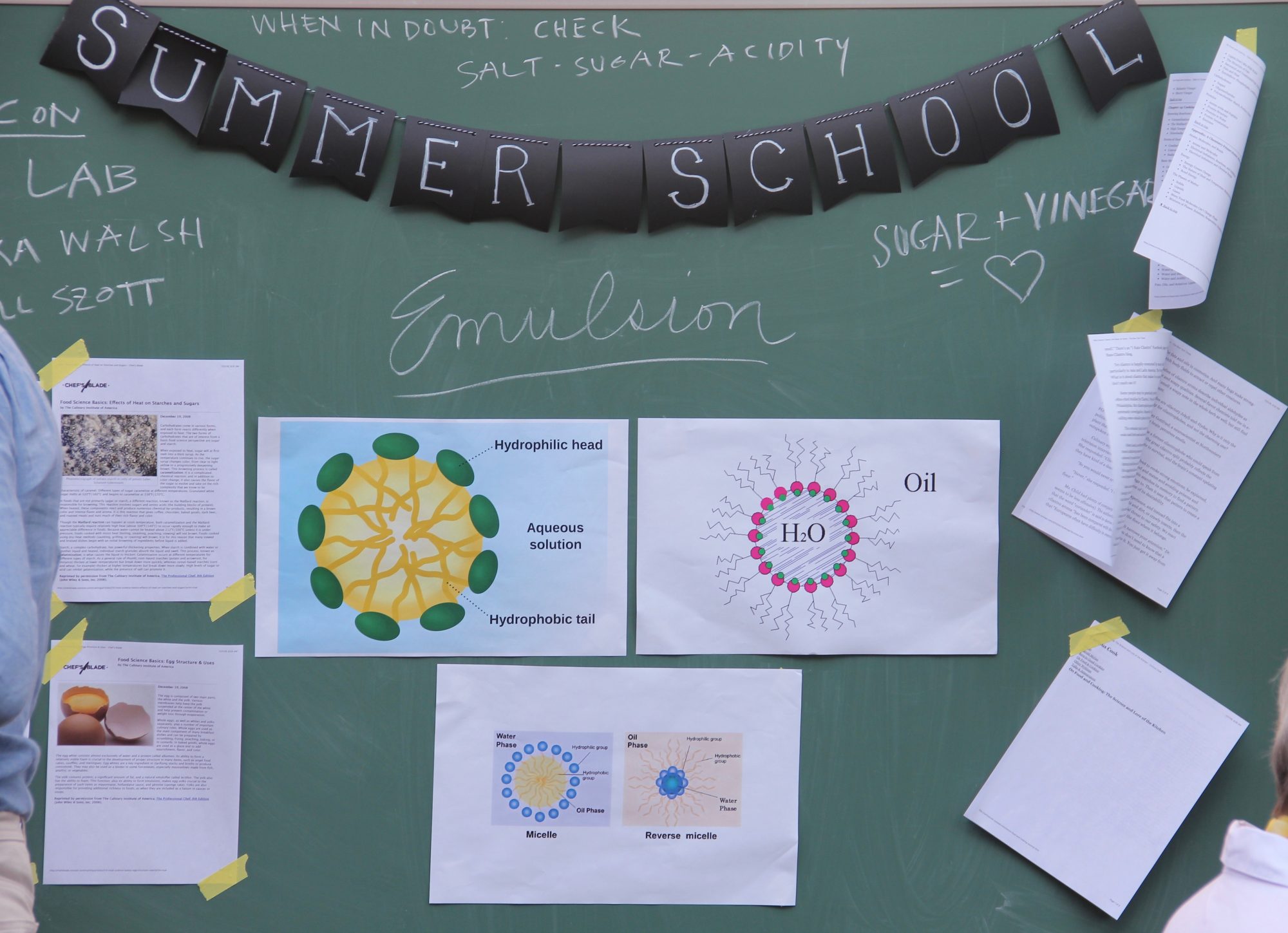 Summer School 2016. Photo by Tom Adams. img_9694