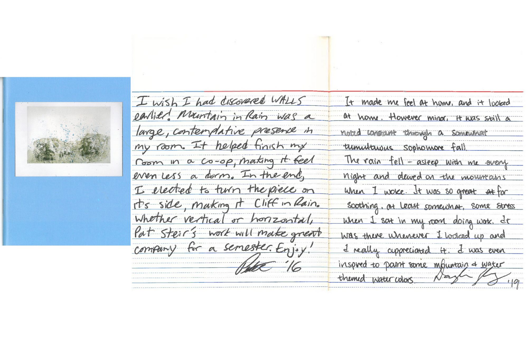 Pat Steir Journal