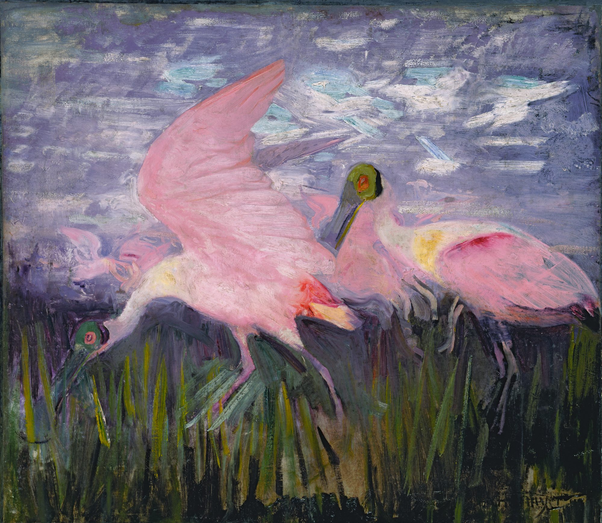 Abbott Handerson Thayer (American, 1849–1921) Roseate Spoonbills, study for Concealing Coloration in the Animal Kingdom