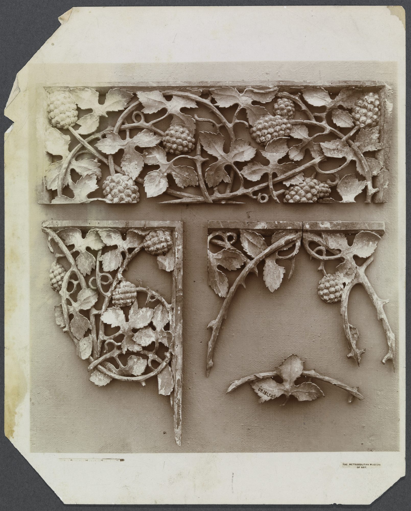 Unknown artist, The Metropolitan Museum of Art (serial no. 08.181.56E) Grapevine Fragments, 19th–20th century. Photograph, 10 x 8 1/8 in. Williams College Museum of Art, Prendergast Archive and Study Center, Gift of Mrs. Charles Prendergast, A.1.453