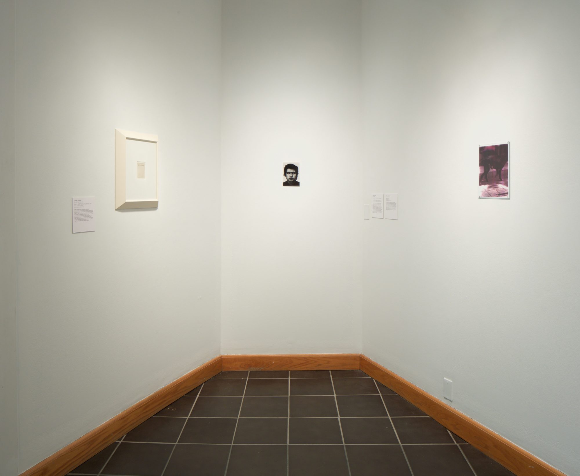 Installation photo by Arthur Evans.