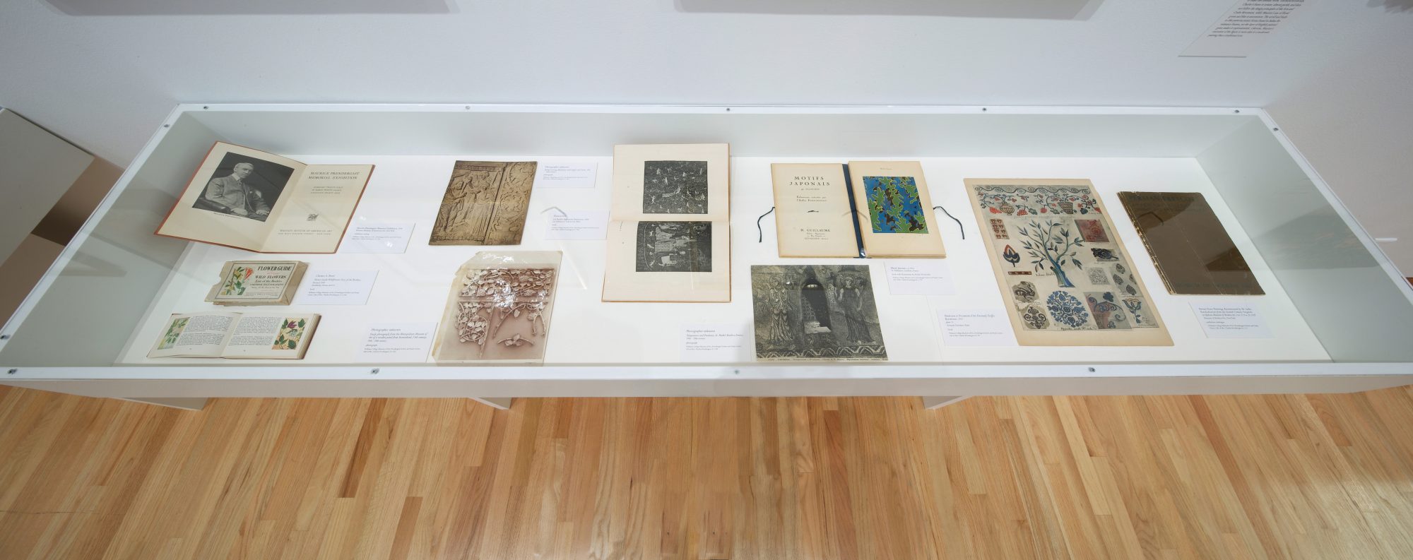 Installation photo by Arthur Evans.