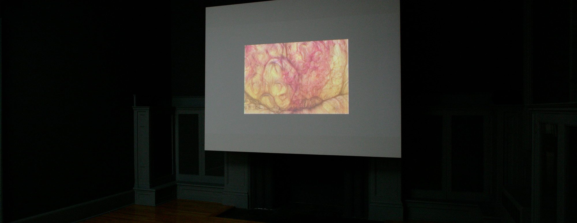 Installation photo by Arthur Evans.