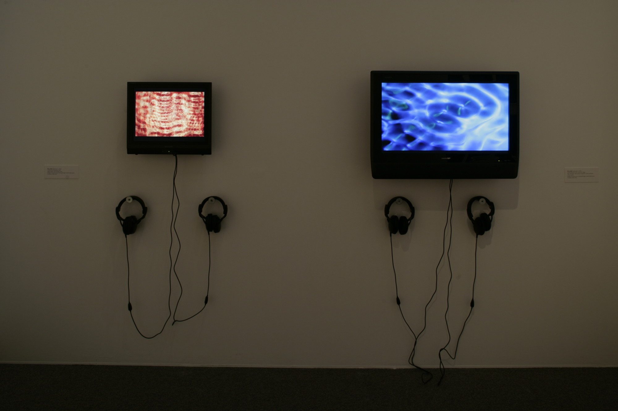Installation photo by Arthur Evans.