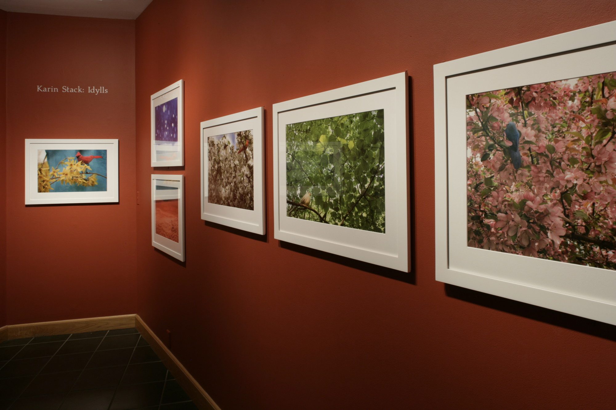 Installation photo by Arthur Evans.