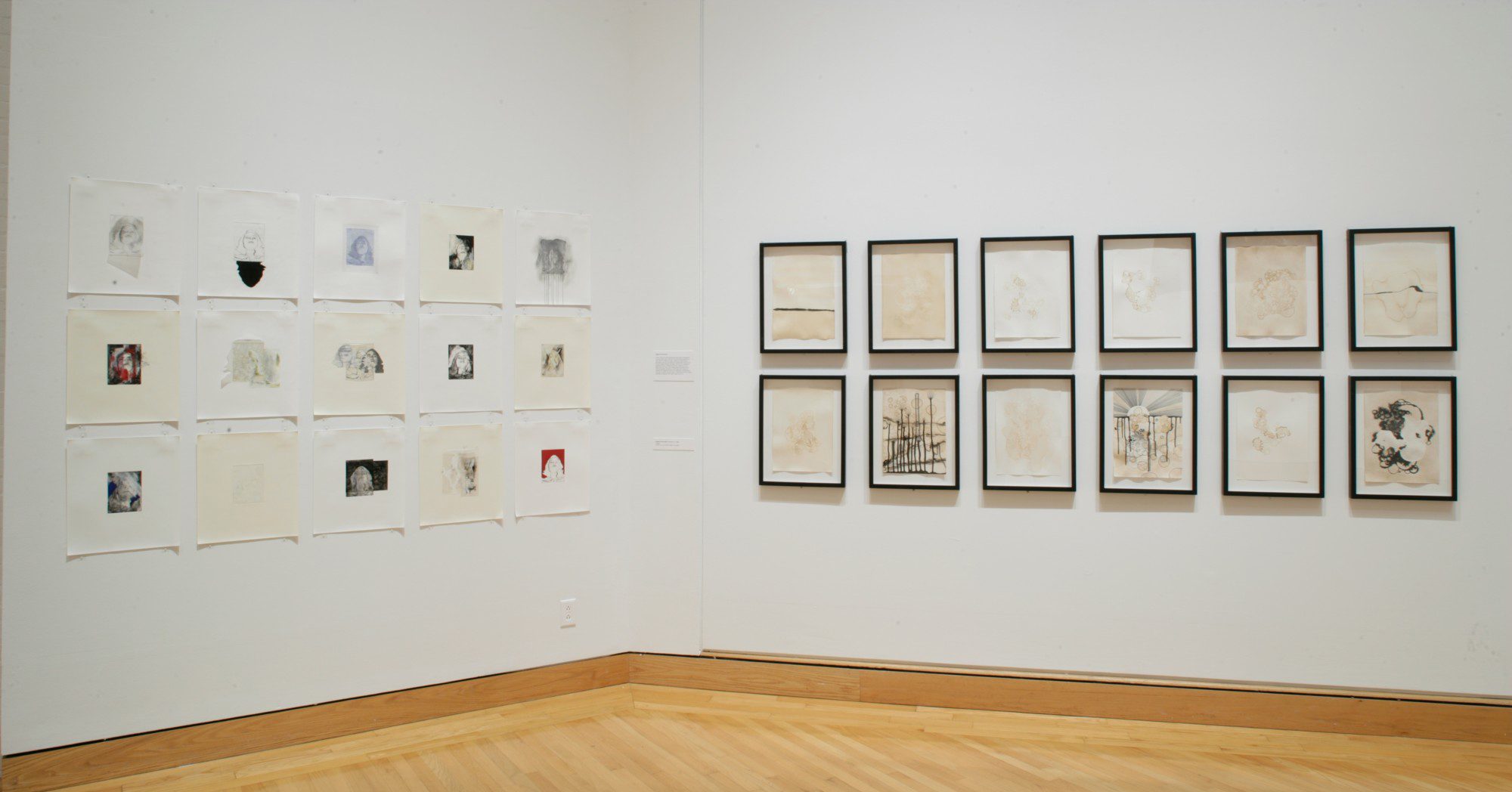 Installation photo by Arthur Evans.