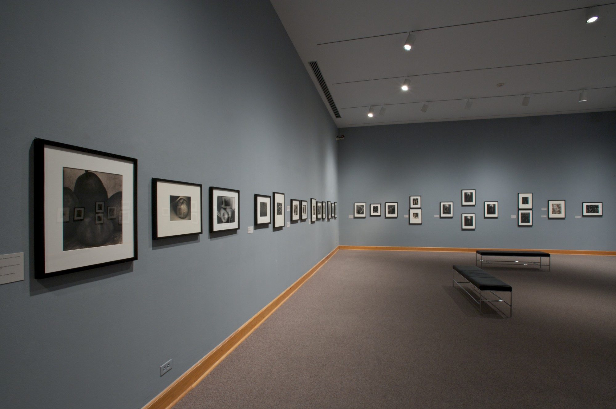 Edward Steichen: Episodes from a Life in Photography. Installation photo by Arthur Evans.