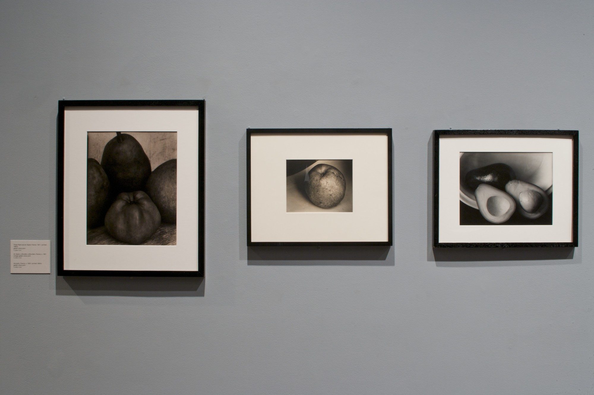 Edward Steichen: Episodes from a Life in Photography. Installation photo by Arthur Evans.