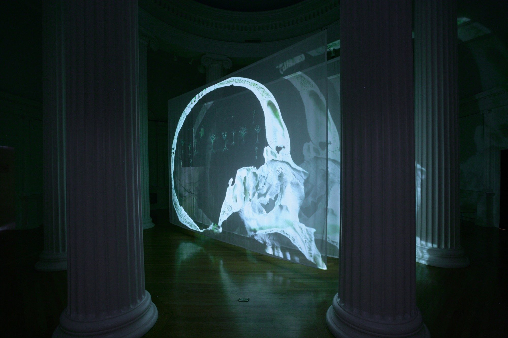 Installation photo by Arthur Evans.
