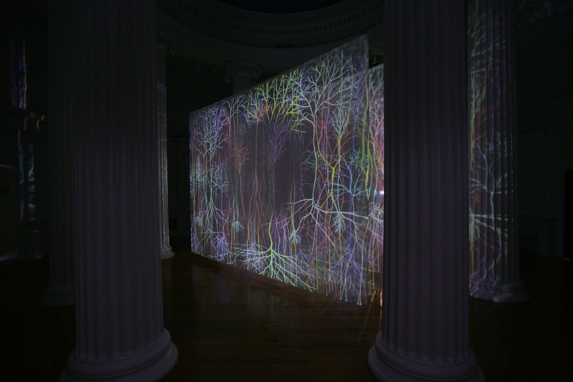 Installation photo by Arthur Evans.