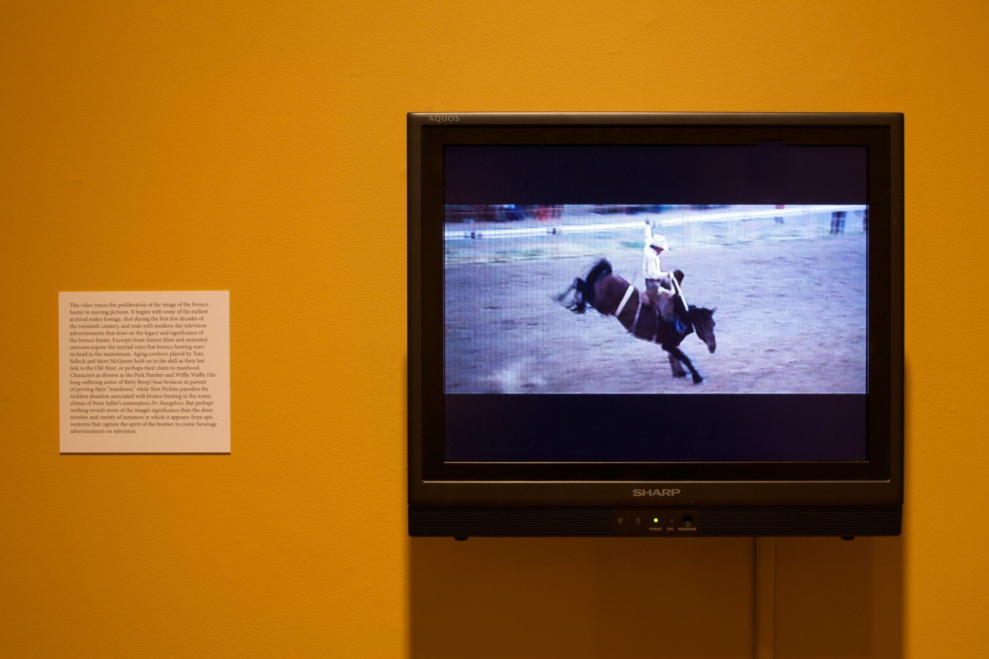 Installation photo by Arthur Evans.
