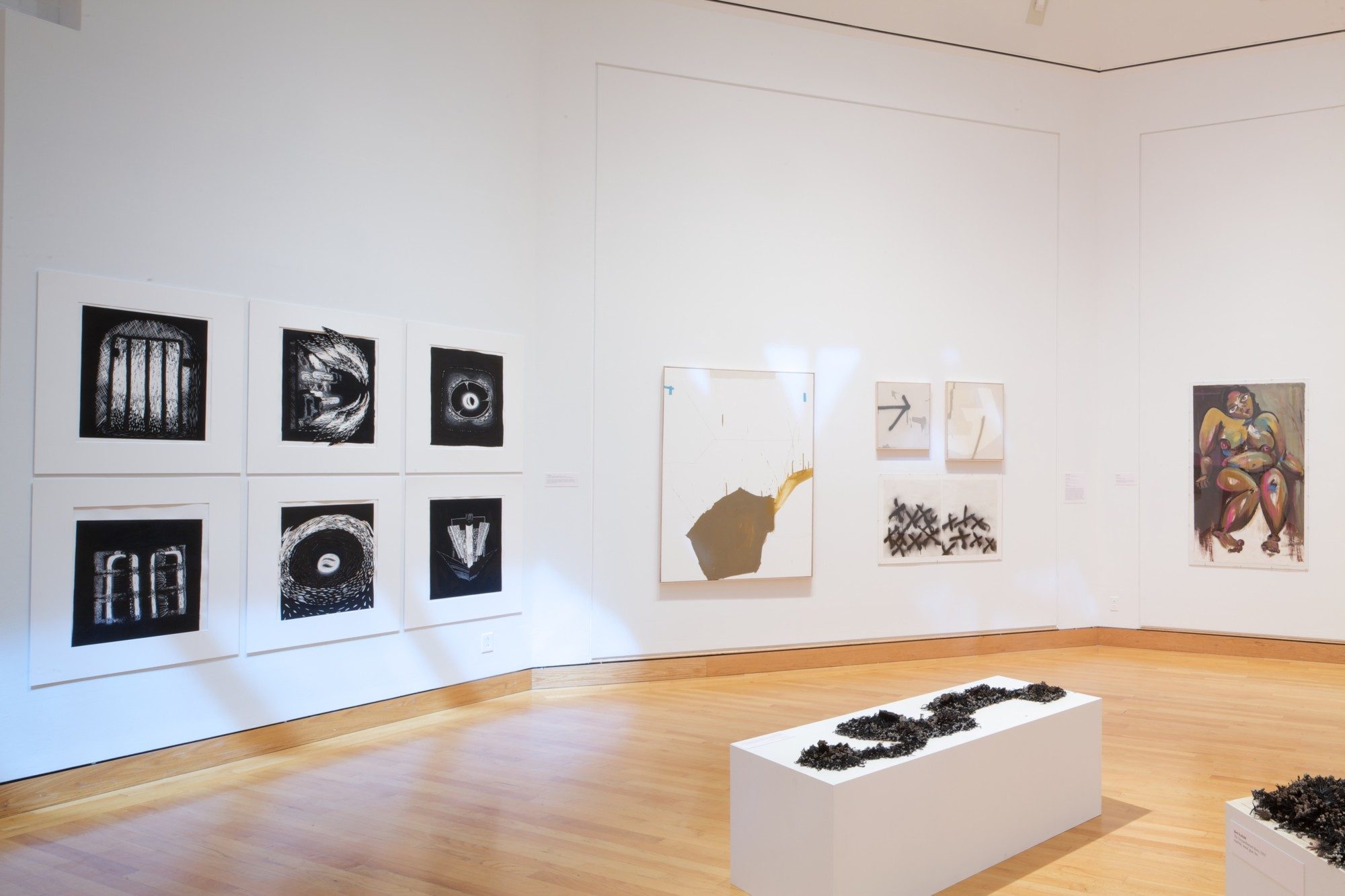 Installation photo by Arthur Evans.