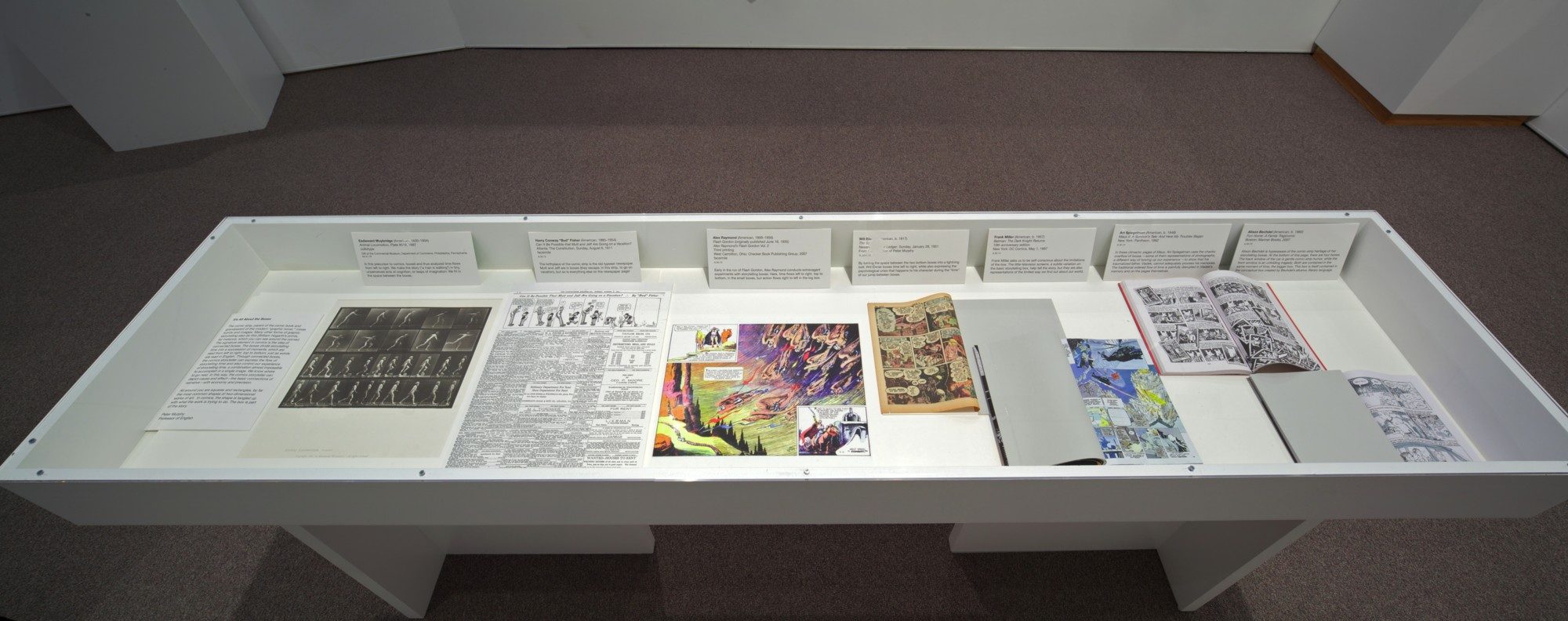 Installation photo by Arthur Evans.