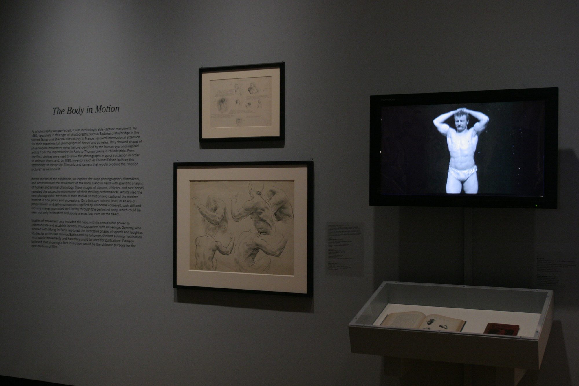 Installation photo by Arthur Evans.