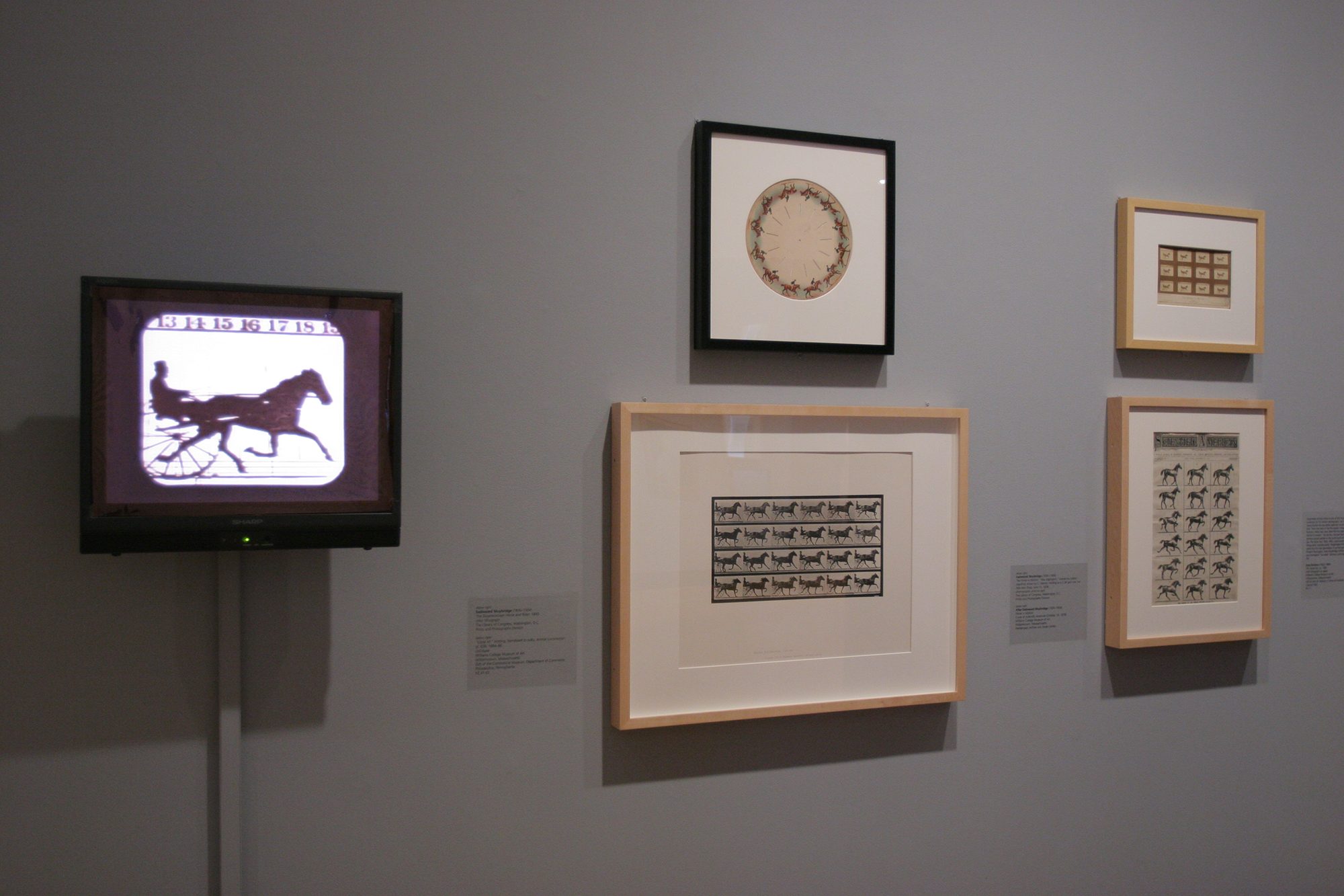 Installation photo by Arthur Evans.