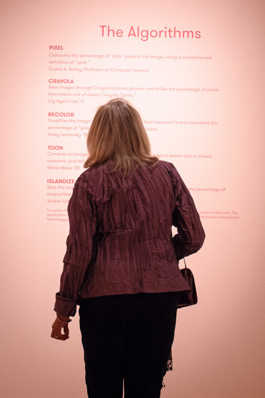 Pink Art installation view 2017, Photo by Arthur Evans