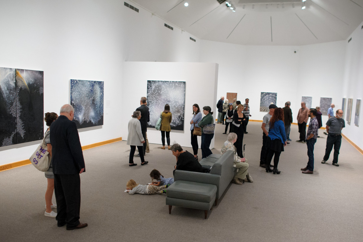 Barbara Takenaga Installation View 2017, Photo by Arthur Evans