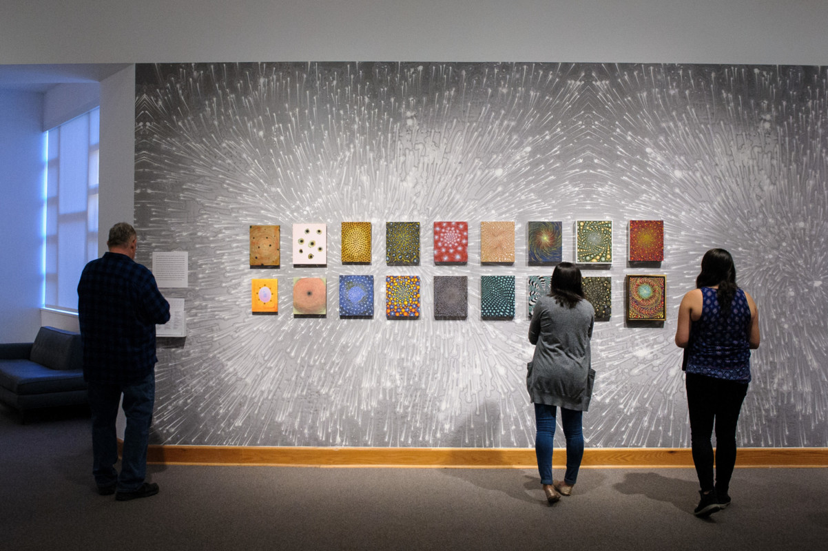 Barbara Takenaga Installation View 2017, Photo by Arthur Evans