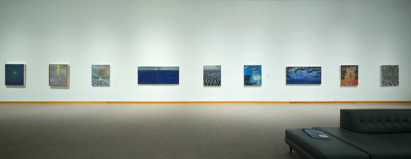 Barbara Takenaga Installation View 2017, Photo by Arthur Evans