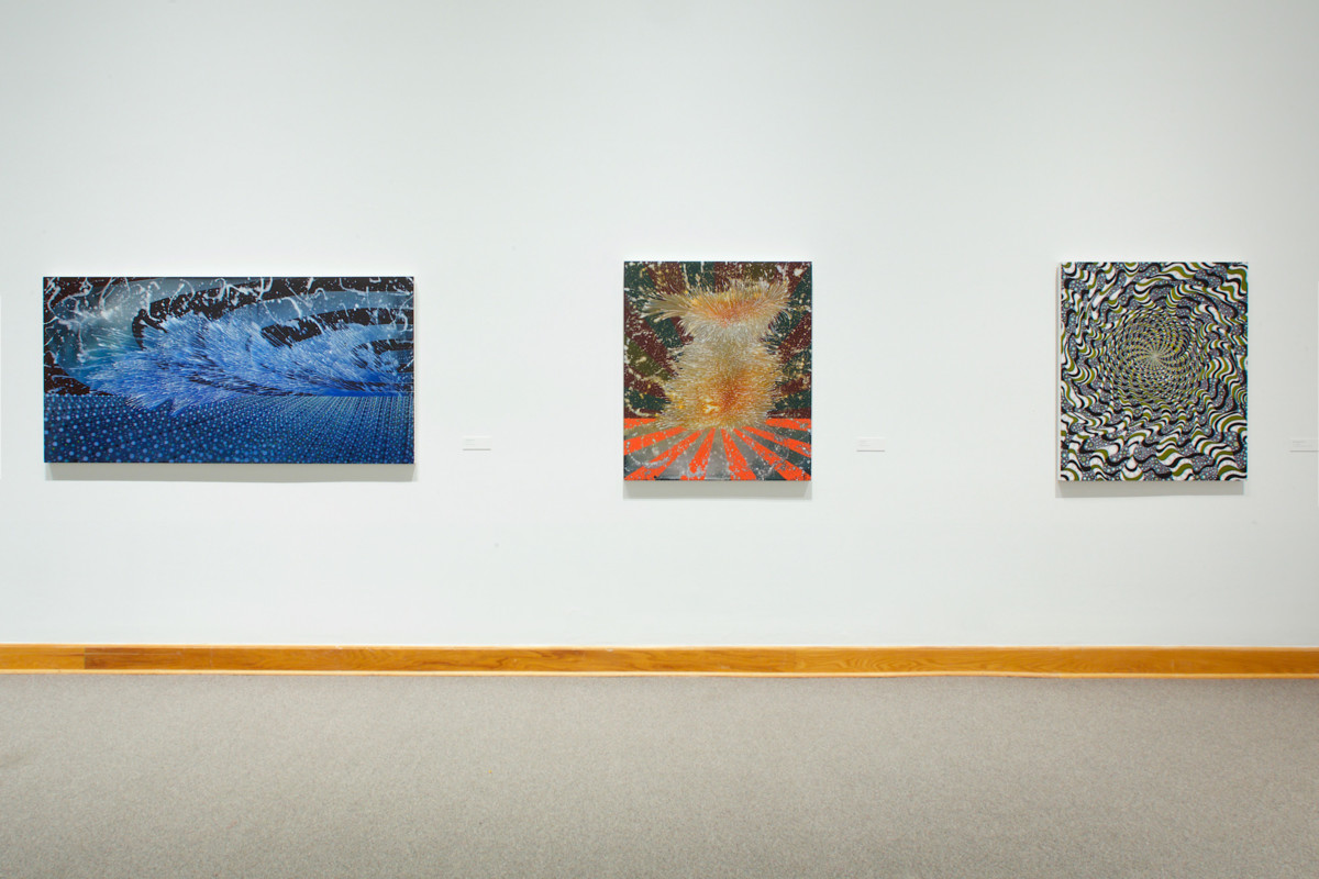 Barbara Takenaga Installation View 2017, Photo by Arthur Evans