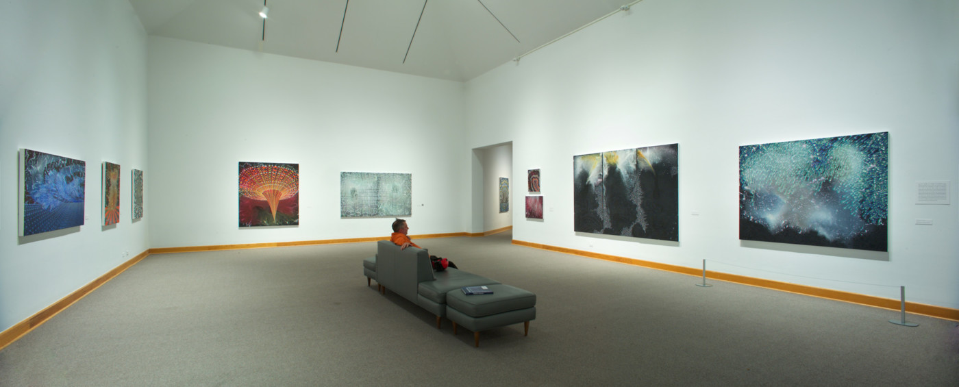Barbara Takenaga Installation View 2017, Photo by Arthur Evans