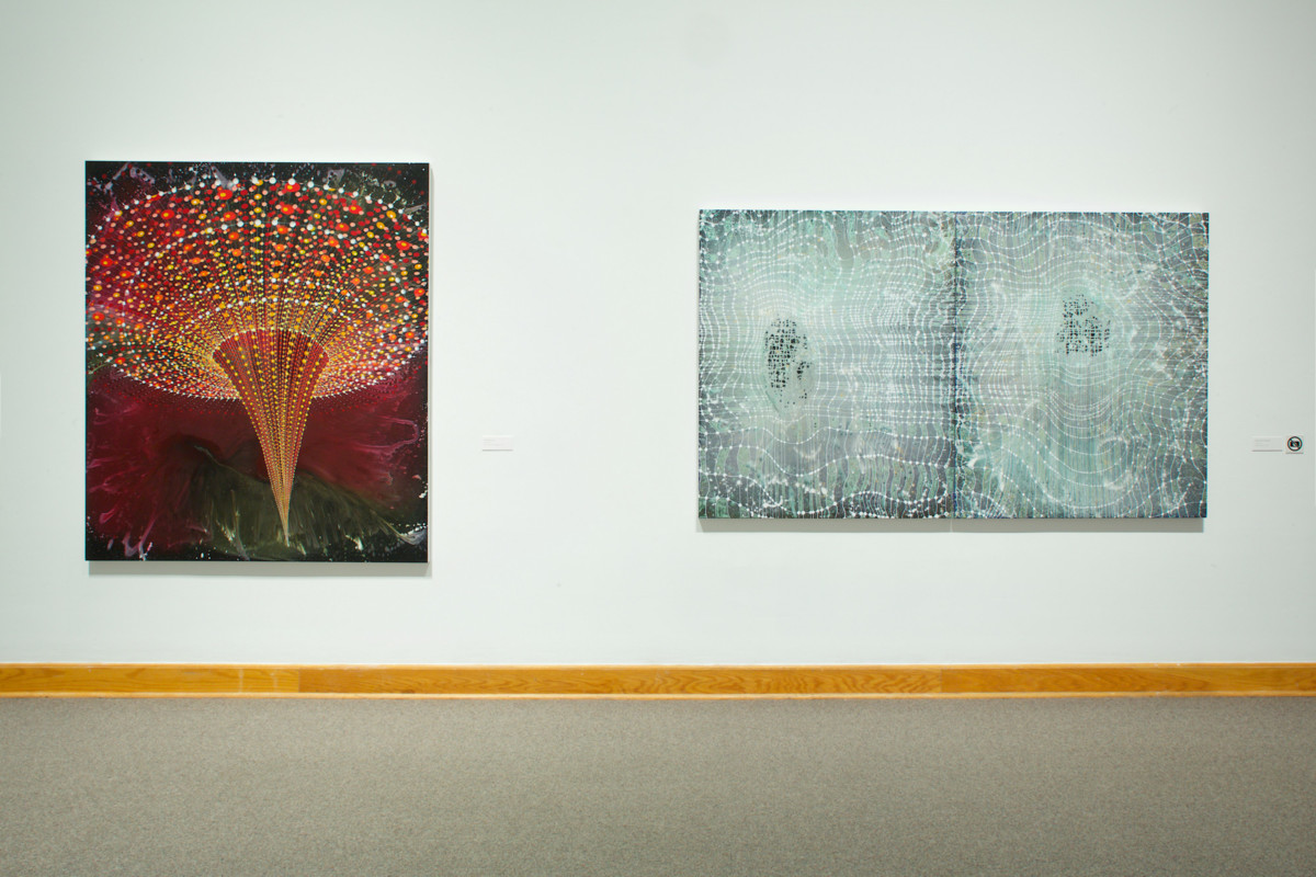 Barbara Takenaga Installation View 2017, Photo by Arthur Evans