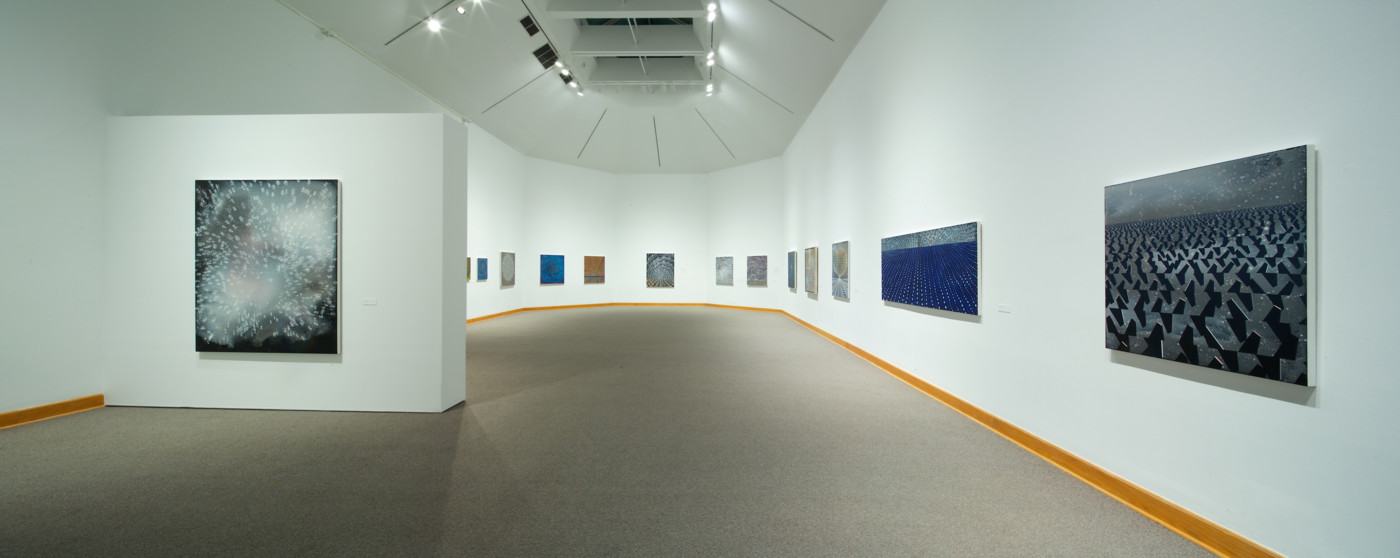 Barbara Takenaga Installation View 2017, Photo by Arthur Evans