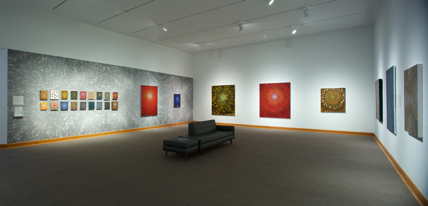 Barbara Takenaga Installation View 2017, Photo by Arthur Evans