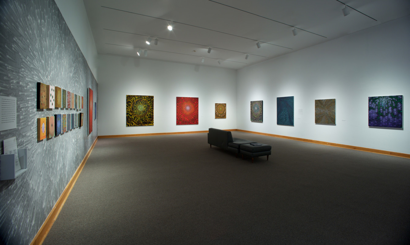 Barbara Takenaga Installation View 2017, Photo by Arthur Evans