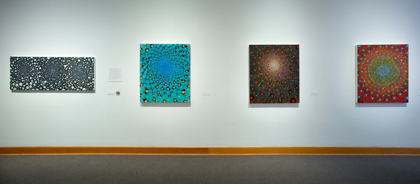 Barbara Takenaga Installation View 2017, Photo by Arthur Evans