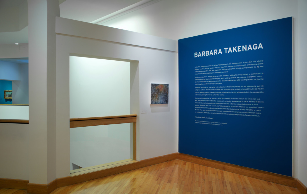 Barbara Takenaga Installation View 2017, Photo by Arthur Evans