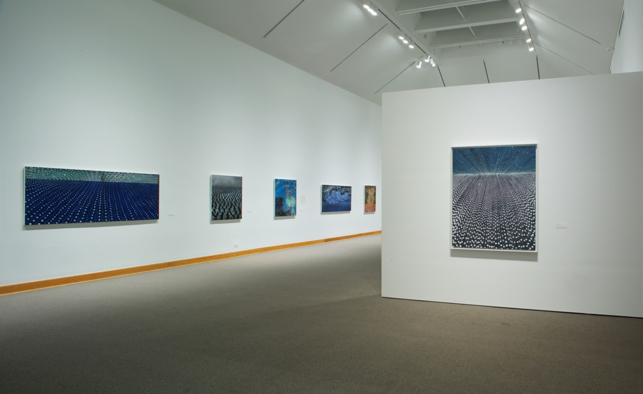 Barbara Takenaga Installation View 2017, Photo by Arthur Evans