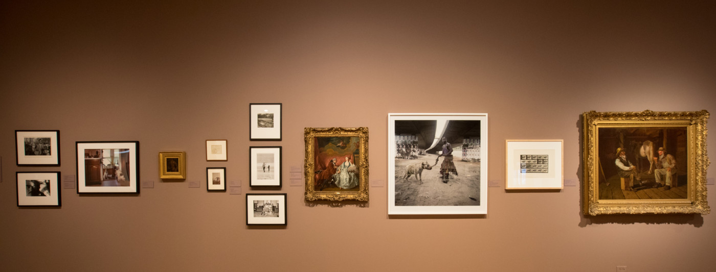 Rawr! installation view photo by Jo Sittenfeld