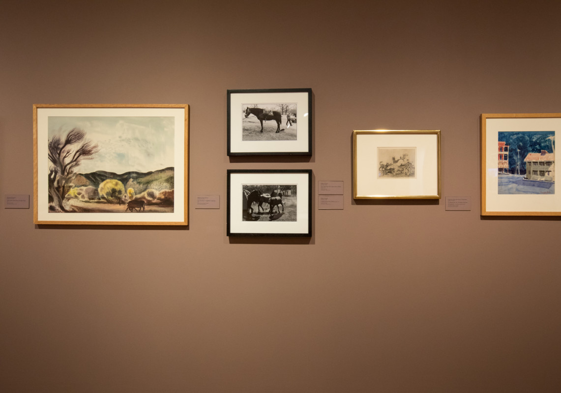 Rawr! installation view photo by Jo Sittenfeld