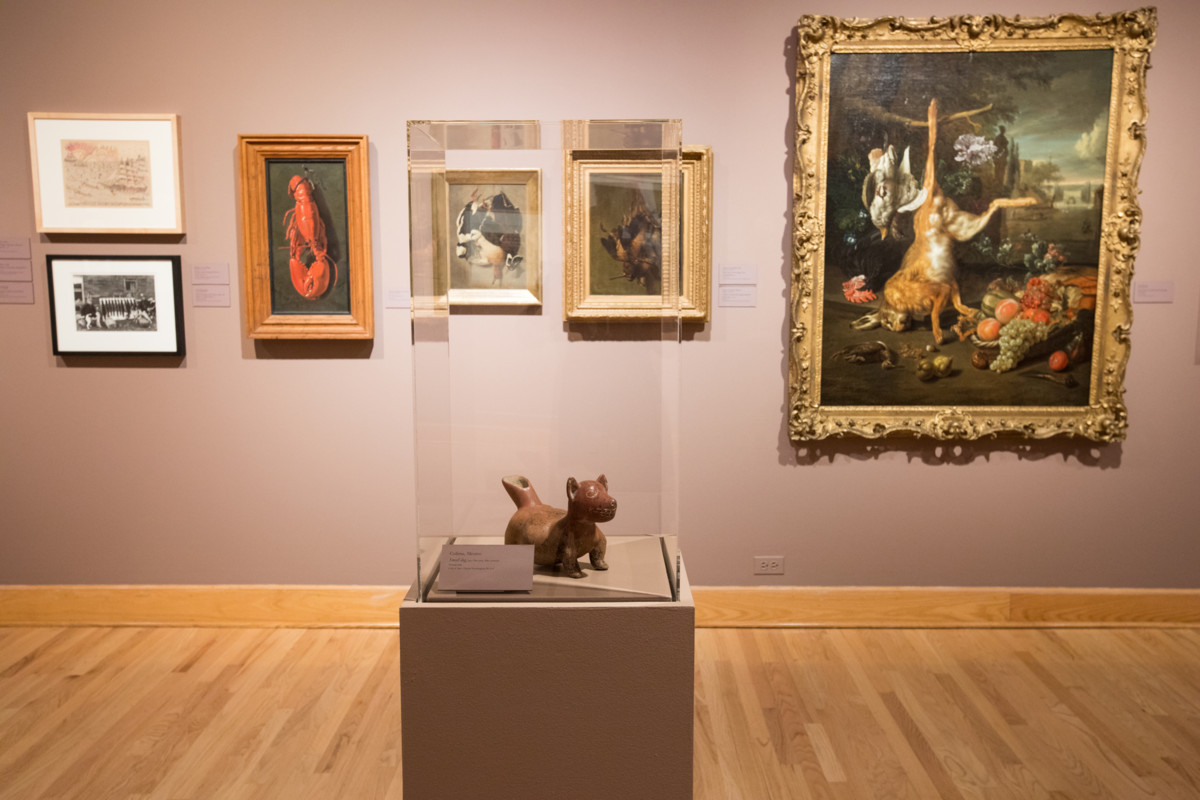 Rawr! installation view photo by Jo Sittenfeld