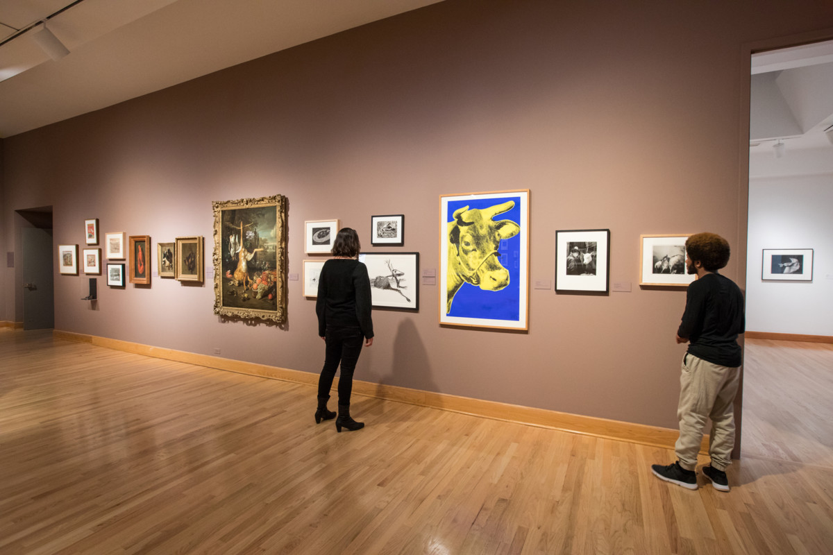 Rawr! installation view photo by Jo Sittenfeld