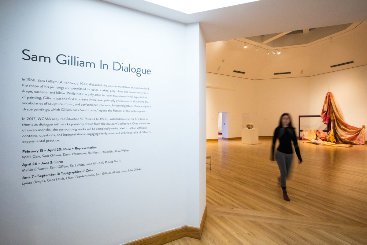 Sam Gilliam - In Dialogue Race+Representation Installation view