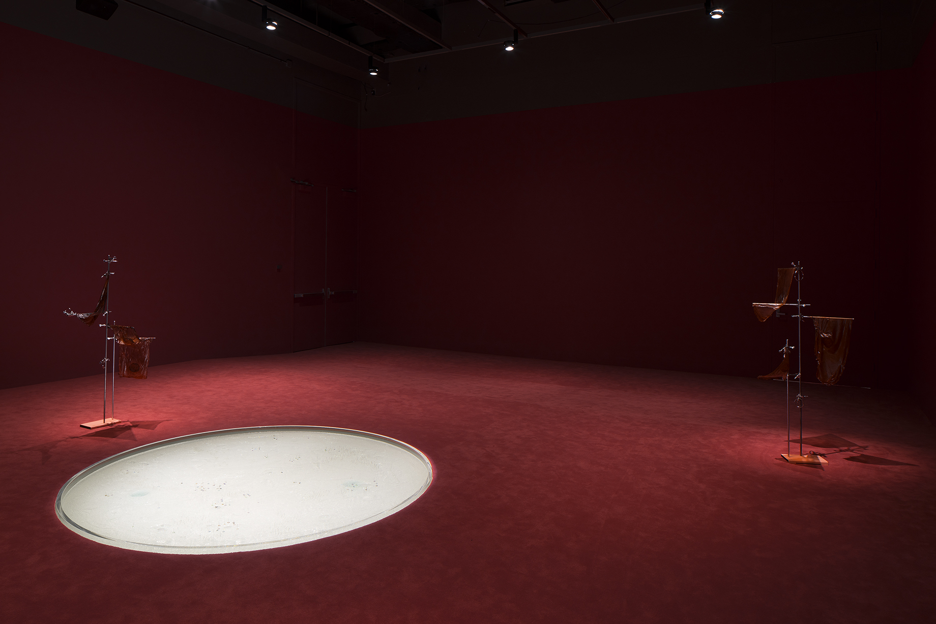 Installation view of Our Love is Bigger Than an AIDS Quilt as part of the exhibition Anicka Yi: 6,070,430K of Digital Spit, 2015 at MIT List Visual Arts Center, Cambridge, MA. Photo by Peter Harris Studio. Courtesy the artist and 47 Canal, New York.