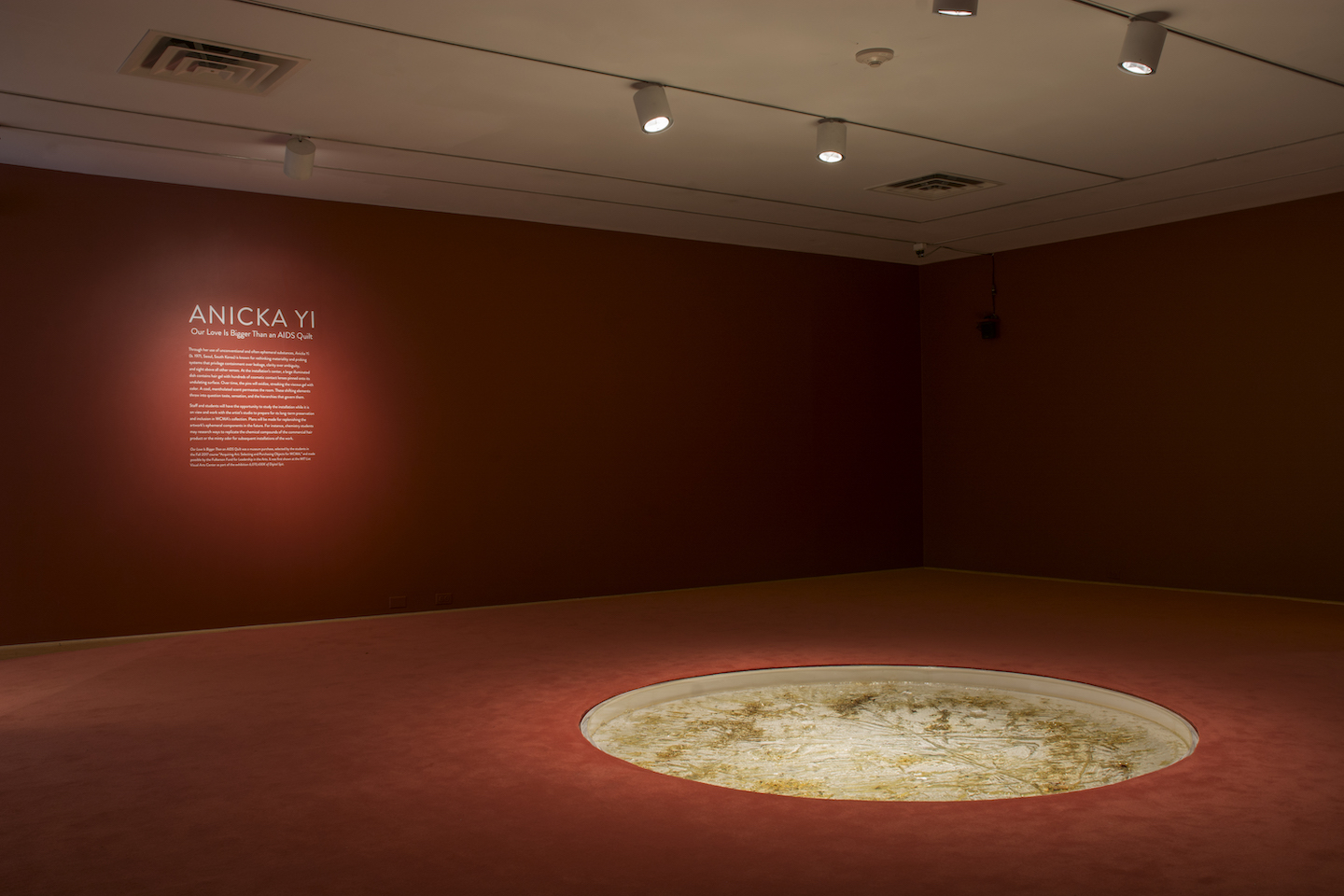 Installation photo by Richard Miller.
