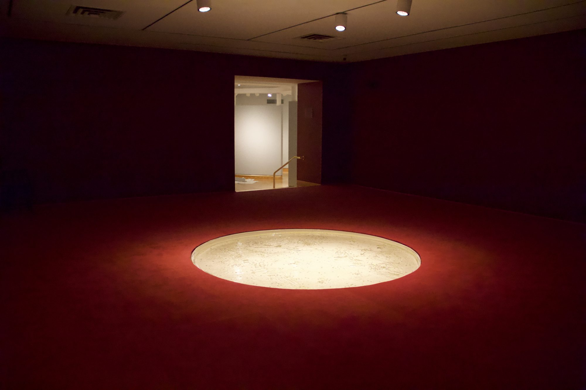 Installation Photo by Richard Miller.