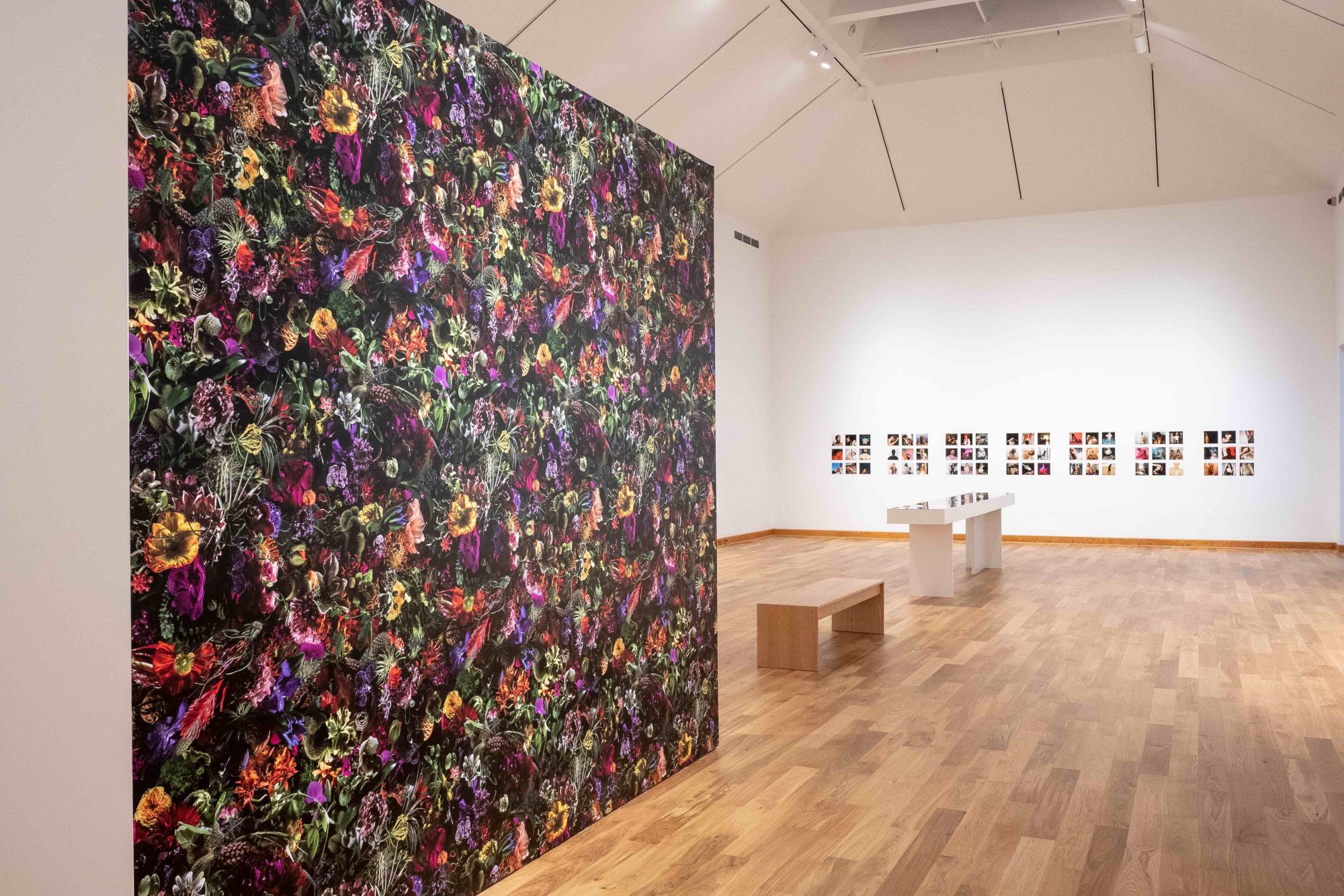 possible selves at WCMA - Installation view photo by Brad Wakoff