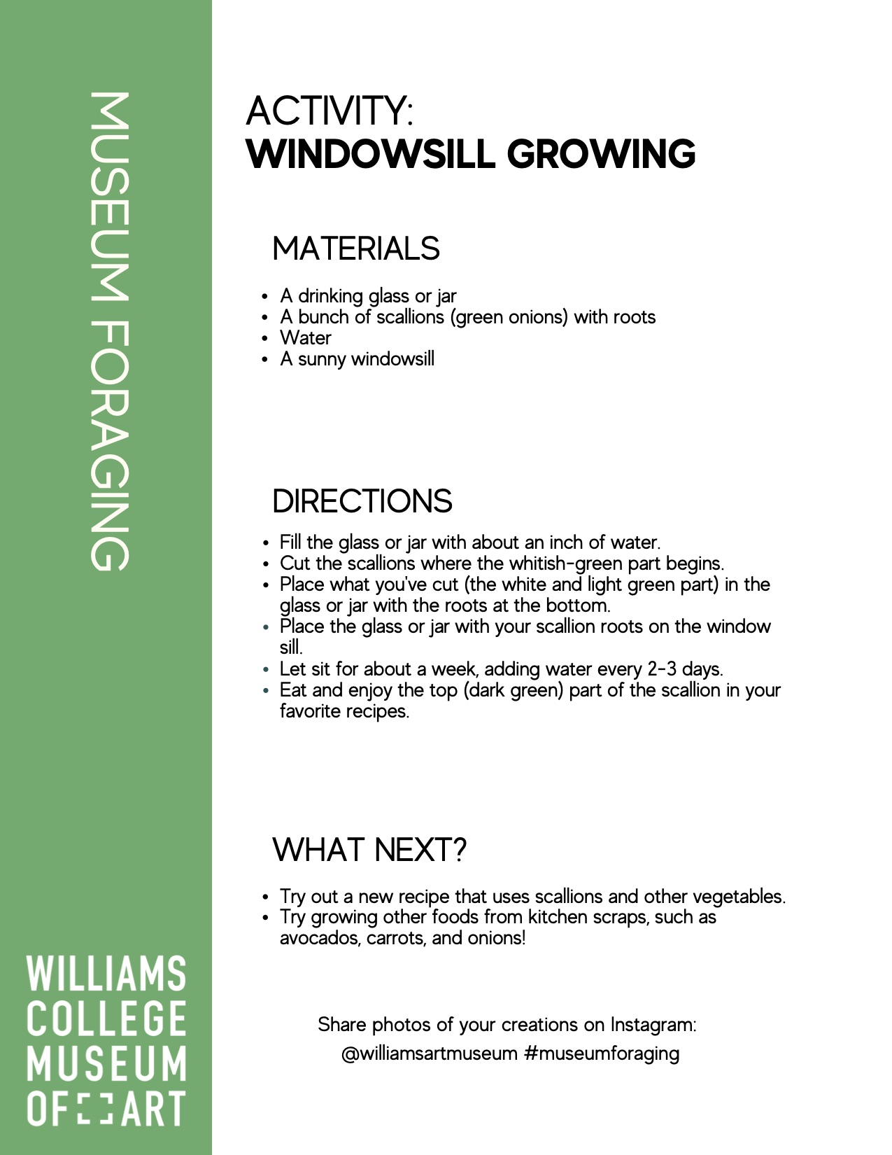 Activity sheet 4_Caulfield